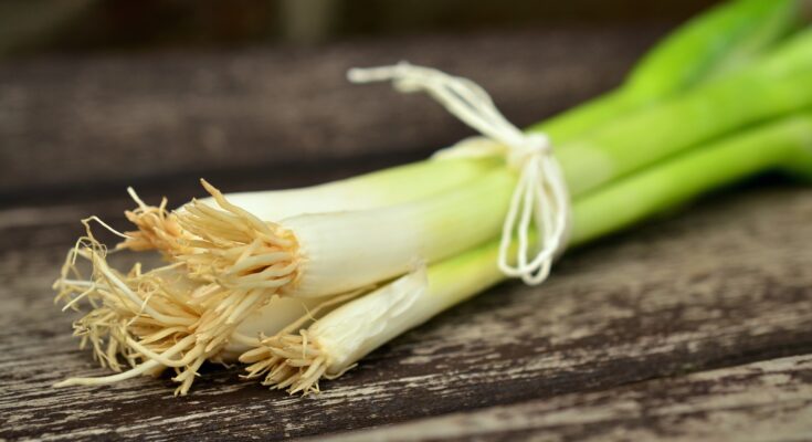 Harvest Wild Onions